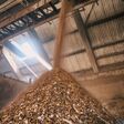 The two sites of Meinhardt Holzwerk GmbH handle around 200,000 tonnes of wood waste per year between them.