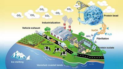 The new direct air capture method: food waste from cheese and tofu production is processed into small beads that can capture CO2.