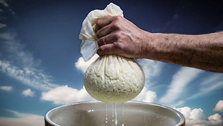 Whey from the food industry serves as a raw material for the new CO₂ capture technology.