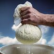 Whey from the food industry serves as a raw material for the new CO₂ capture technology.