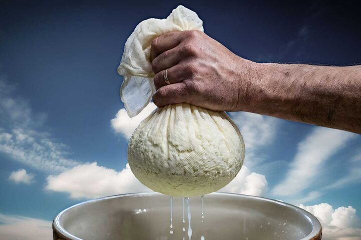 Whey from the food industry serves as a raw material for the new CO₂ capture technology.