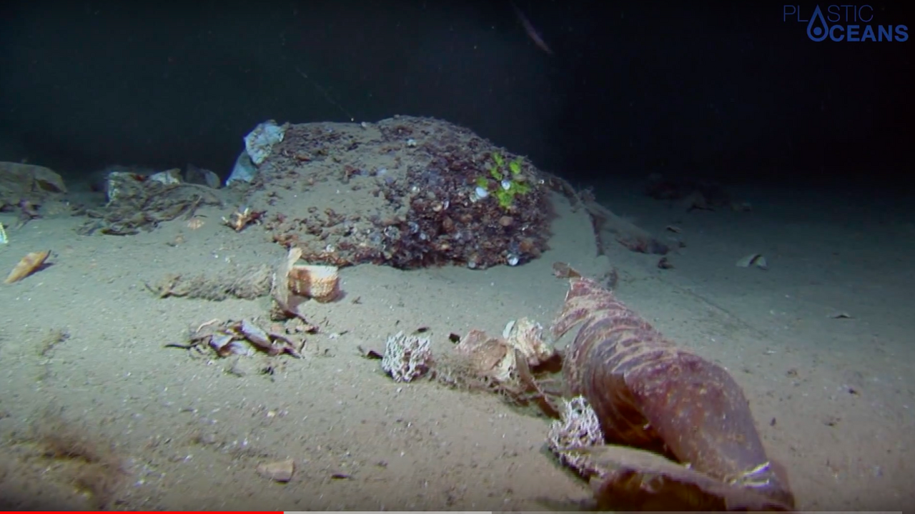 Three Short Films from the Plastic Oceans Foundation Explain ...