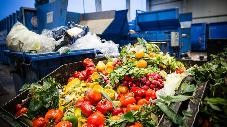 Food Waste Management