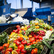 Grossmarkt Berlin-Beusselstrasse Wegschmeissen Muell Lebensmittel in den Muell Lebensmittelvernichtung Abfall Muellhalde Food Waste