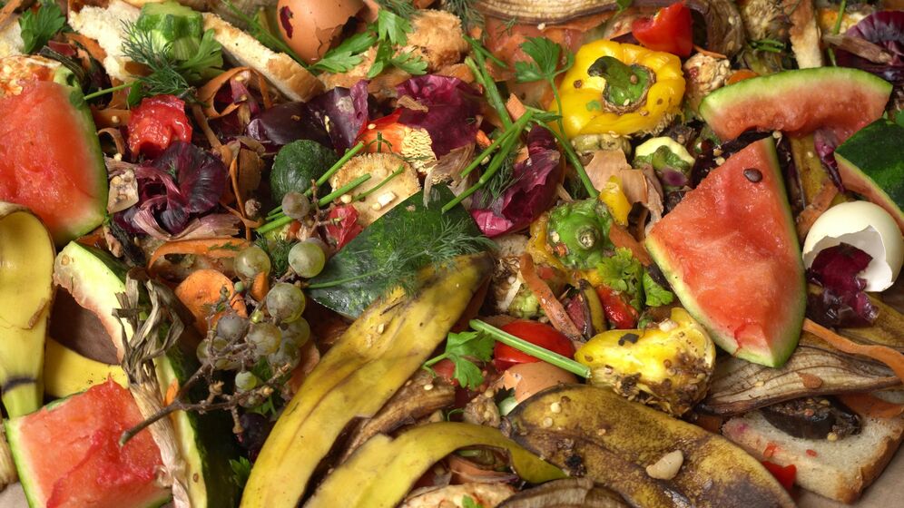 Tensei Converts Biowaste Into Paper Packaging 